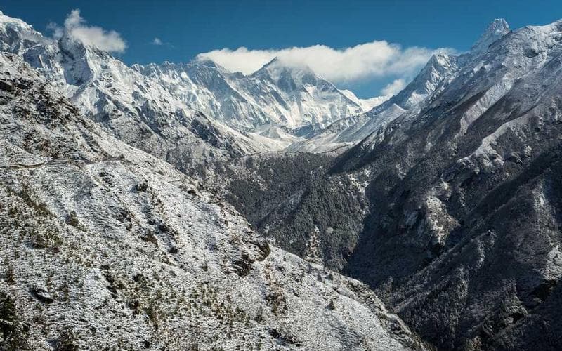 La Guía Definitiva de Proteínas: ¿Cuánta Necesitas Realmente?